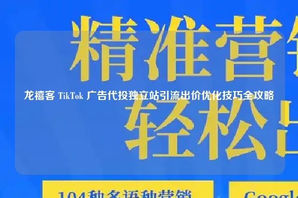 龙禧客 TikTok 广告代投独立站引流出价优化技巧全攻略