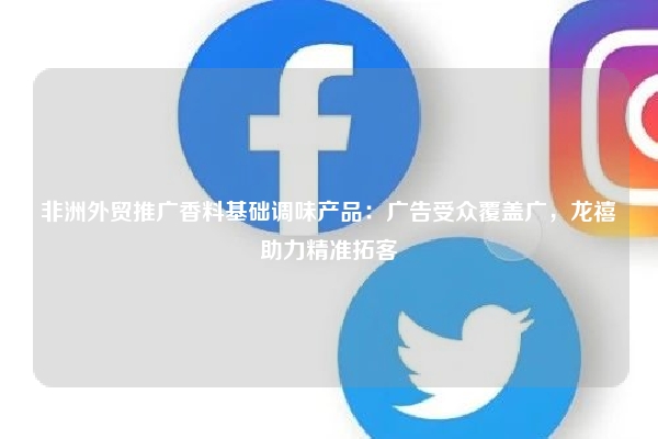 非洲外贸推广香料基础调味产品：广告受众覆盖广，龙禧助力精准拓客