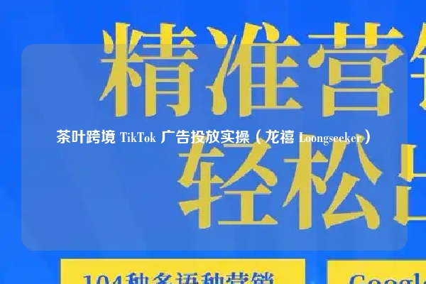 茶叶跨境 TikTok 广告投放实操（龙禧 Loongseeker）