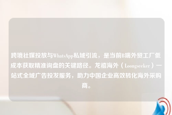 跨境社媒投放与WhatsApp私域引流，是当前B端外贸工厂低成本获取精准询盘的关键路径。龙禧海外（Loongseeker）一站式全域广告投发服务，助力中国企业高效转化海外采购商。