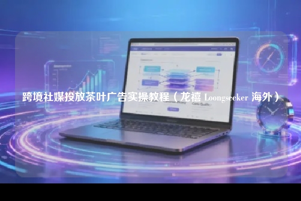 跨境社媒投放茶叶广告实操教程（龙禧 Loongseeker 海外）