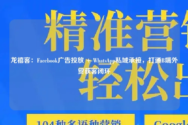 龙禧客：Facebook广告投放 + WhatsApp私域承接，打通B端外贸获客闭环