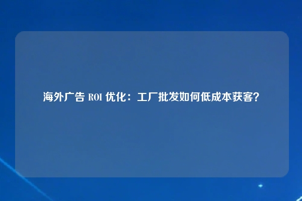 海外广告 ROI 优化：工厂批发如何低成本获客？