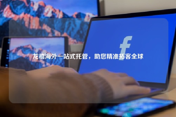 龙禧海外一站式托管，助您精准拓客全球