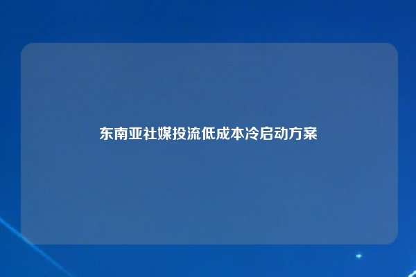 东南亚社媒投流低成本冷启动方案