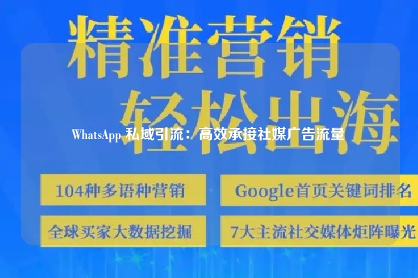 WhatsApp 私域引流：高效承接社媒广告流量